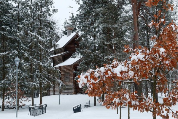 Народное голосование. ТОП-20 фотографий за 01.02.2024&nbsp;г.