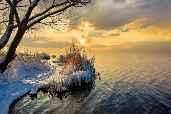 Народное голосование. ТОП-20 фотографий за 11.04.2024&nbsp;г.
