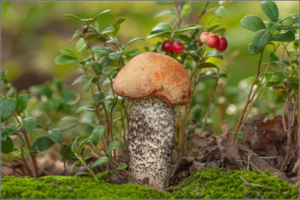 Народное голосование. ТОП-20 фотографий за 23.08.2024&nbsp;г.