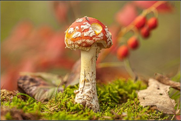Народное голосование. ТОП-20 фотографий за 14.09.2024 г.