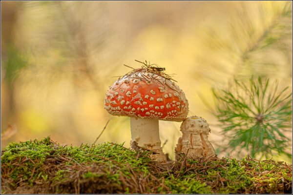 Народное голосование. ТОП-20 фотографий за 18.09.2024&nbsp;г.