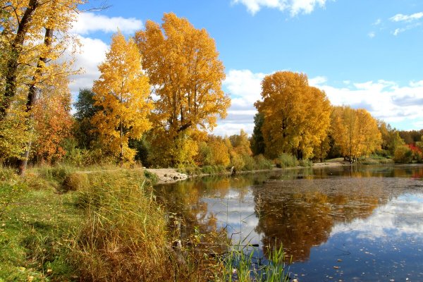 Народное голосование. ТОП-20 фотографий за 20.09.2024&nbsp;г.