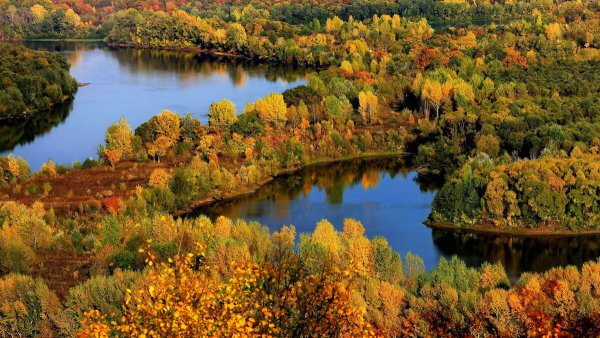 Народное голосование. ТОП-20 фотографий за 22.09.2024&nbsp;г.