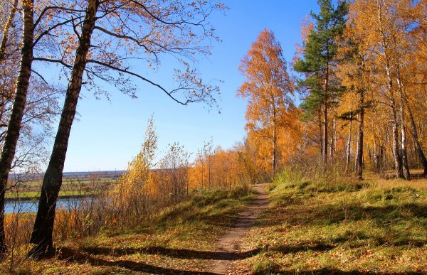 Народное голосование. ТОП-20 фотографий за 11.10.2024&nbsp;г.