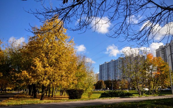 Народное голосование. ТОП-20 фотографий за 21.10.2024&nbsp;г.