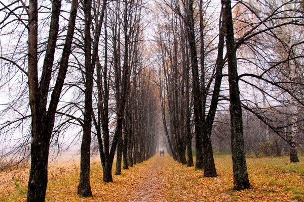 Народное голосование. ТОП-20 фотографий за 25.10.2024&nbsp;г.