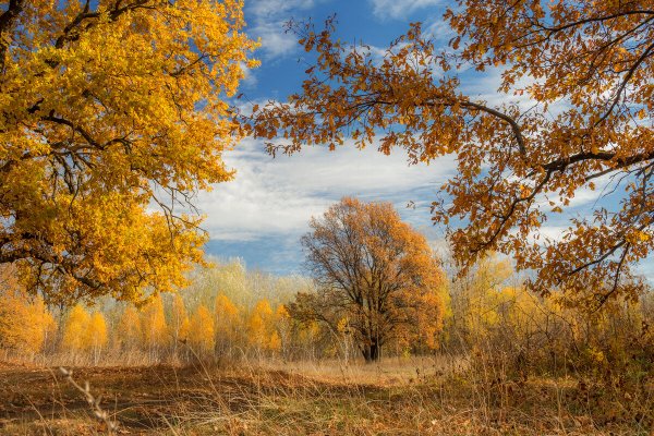 Народное голосование. ТОП-20 фотографий за 29.10.2024&nbsp;г.
