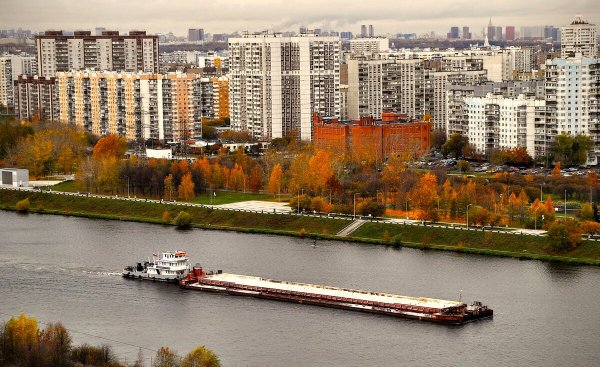 Народное голосование. ТОП-20 фотографий за 31.10.2024&nbsp;г.