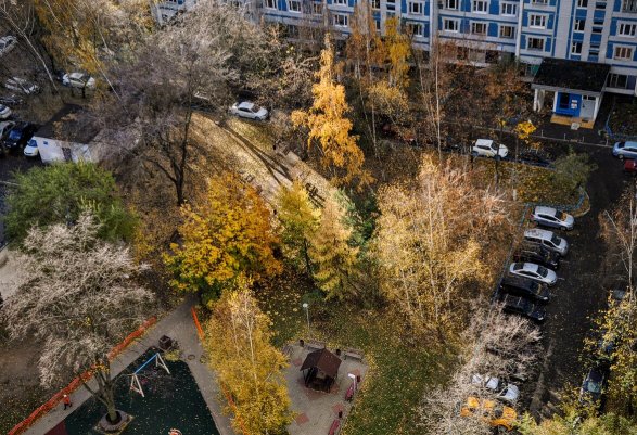 Народное голосование. ТОП-20 фотографий за 01.11.2024&nbsp;г.