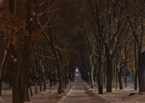Народное голосование. ТОП-20 фотографий за 06.11.2024&nbsp;г.