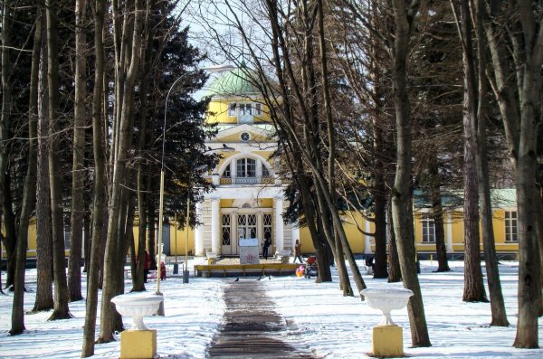 Народное голосование. ТОП-20 фотографий за 27.11.2024 г.