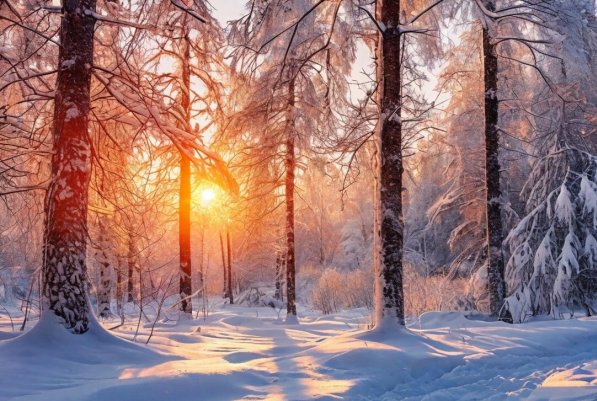 Народное голосование. ТОП-20 фотографий за 23.12.2024 г.