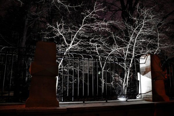 Народное голосование. ТОП-20 фотографий за 24.12.2024 г.