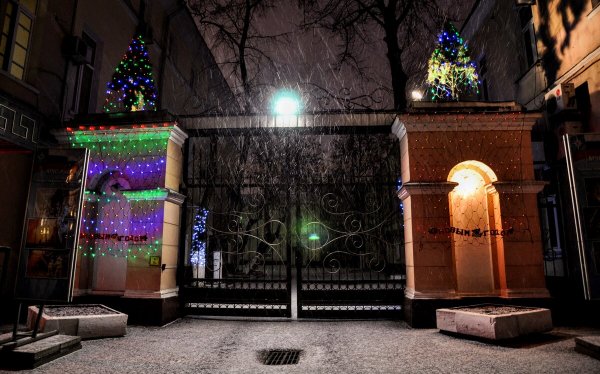Народное голосование. ТОП-20 фотографий за 26.12.2024 г.