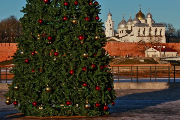 Народное голосование. ТОП-20 фотографий за 01.01.2025 г.