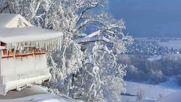 Народное голосование. ТОП-20 фотографий за 05.01.2025&nbsp;г.