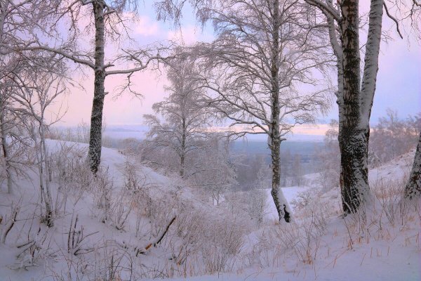 Народное голосование. ТОП-20 фотографий за 08.01.2025&nbsp;г.