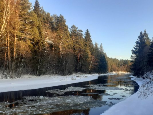 Народное голосование. ТОП-20 фотографий за 09.01.2025&nbsp;г.