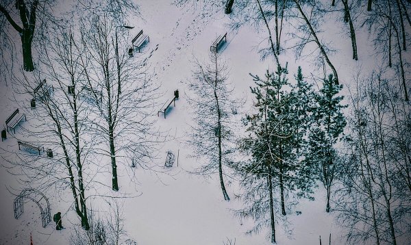 Народное голосование. ТОП-20 фотографий за 14.01.2025&nbsp;г.