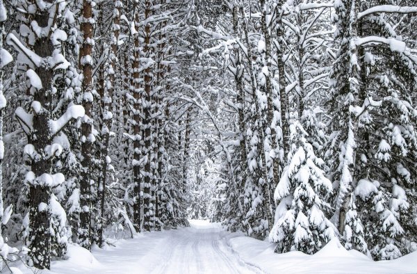 Народное голосование. ТОП-20 фотографий за 15.01.2025 г.