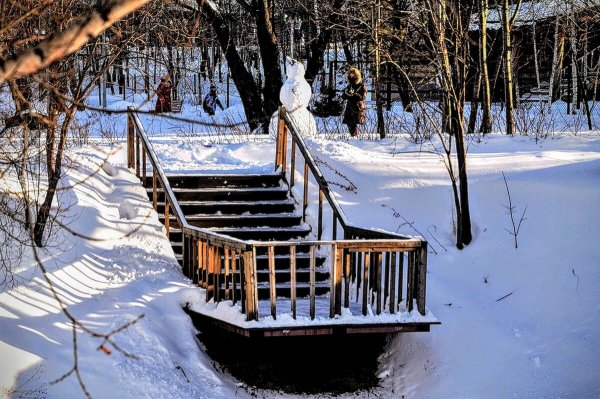 Народное голосование. ТОП-20 фотографий за 20.01.2025 г.