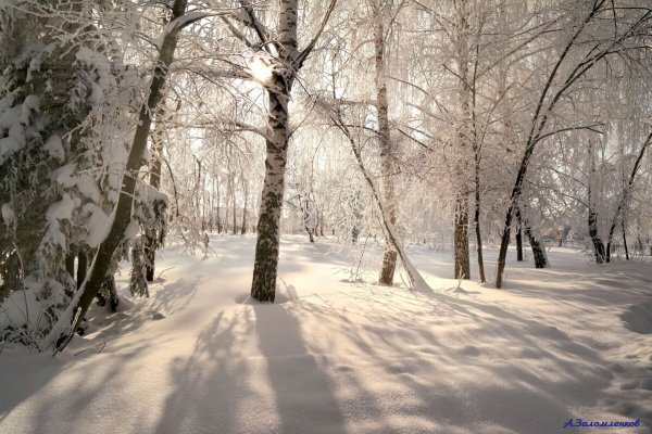 Народное голосование. ТОП-20 фотографий за 22.01.2025 г.