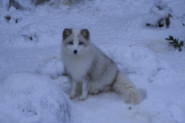 Народное голосование. ТОП-20 фотографий за 23.01.2025 г.