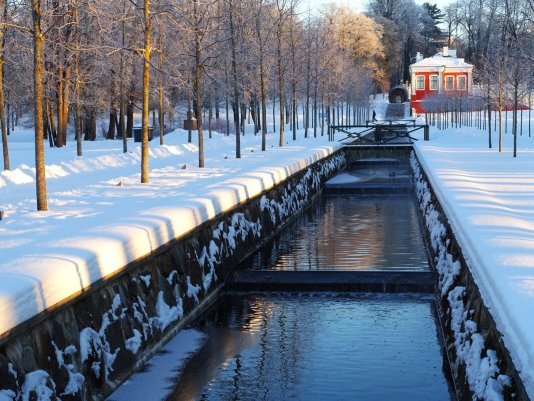 Народное голосование. ТОП-20 фотографий за 24.01.2025 г.