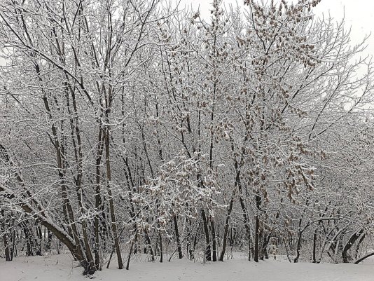 Народное голосование. ТОП-20 фотографий за 08.02.2025 г.