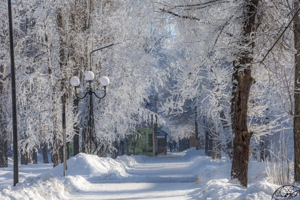 Народное голосование. ТОП-20 фотографий за 13.02.2025 г.