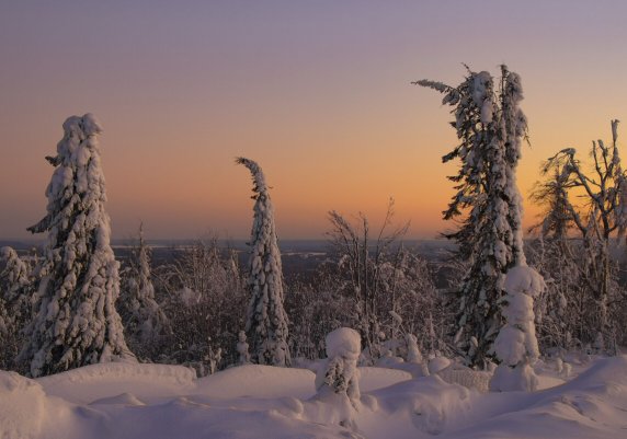 Народное голосование. ТОП-20 фотографий за 16.02.2025&nbsp;г.