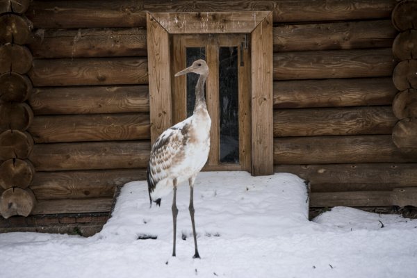 Народное голосование. ТОП-20 фотографий за 19.02.2025&nbsp;г.
