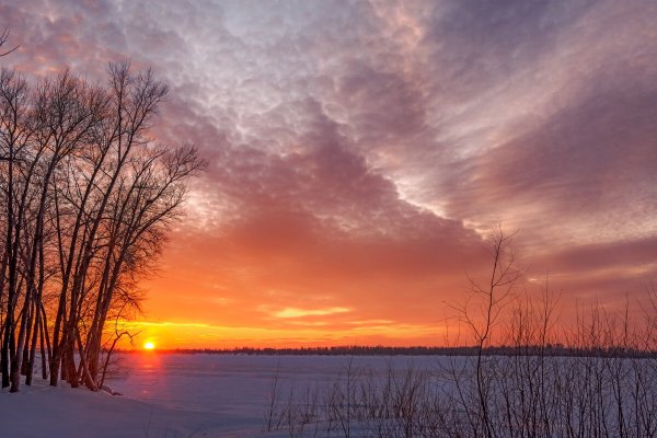 Народное голосование. ТОП-20 фотографий за 27.02.2025 г.