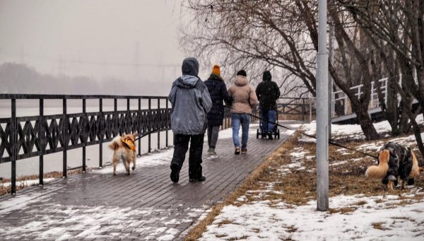 Народное голосование. ТОП-20 фотографий за 05.03.2025&nbsp;г.