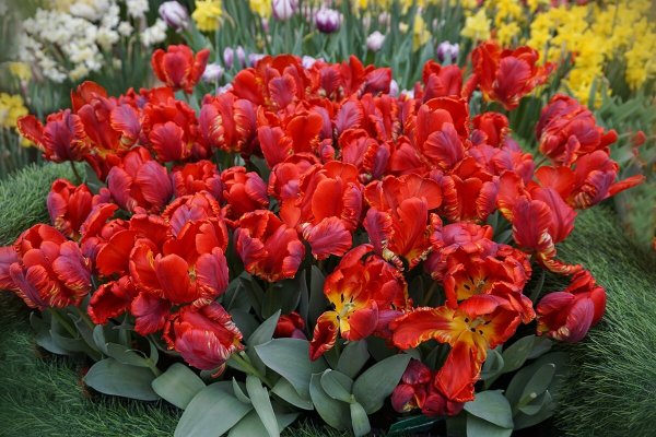 Народное голосование. ТОП-20 фотографий за 06.03.2025&nbsp;г.