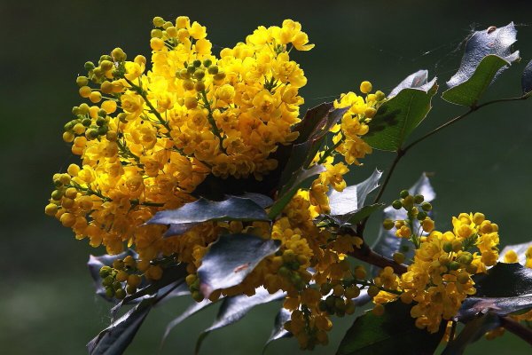 Народное голосование. ТОП-20 фотографий за 08.03.2025&nbsp;г.