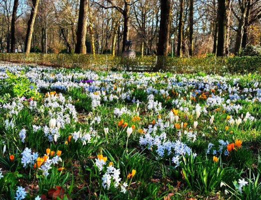 Народное голосование. ТОП-20 фотографий за 09.03.2025&nbsp;г.