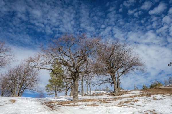 Народное голосование. ТОП-20 фотографий за 13.03.2025&nbsp;г.