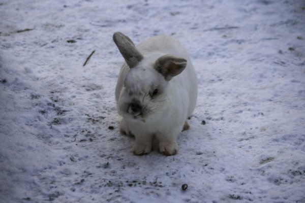 Народное голосование. ТОП-20 фотографий за 14.03.2025&nbsp;г.