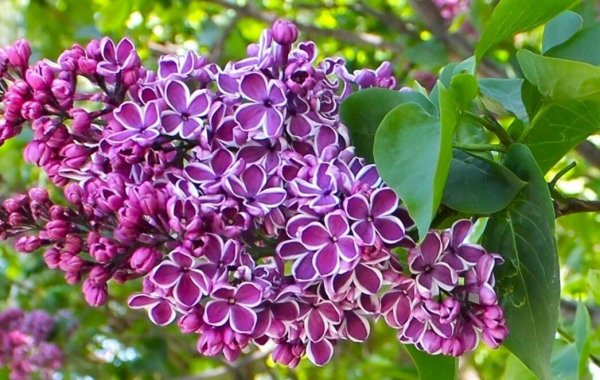 Народное голосование. ТОП-20 фотографий за 07.04.2025 г.