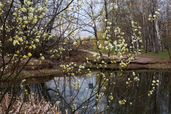 Народное голосование. ТОП-20 фотографий за 13.04.2025 г.