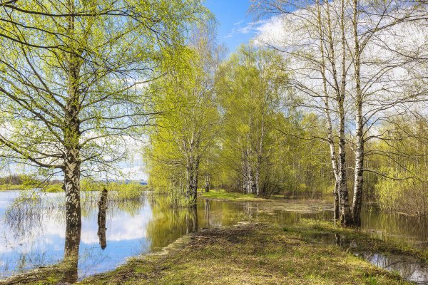 Народное голосование. ТОП-20 фотографий за 16.04.2025 г.
