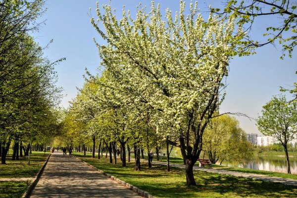 Народное голосование. ТОП-20 фотографий за 23.04.2025 г.