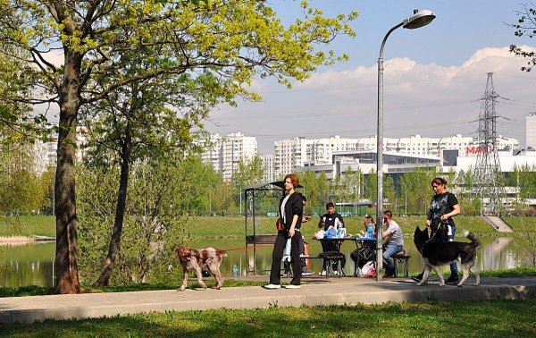 Народное голосование. ТОП-20 фотографий за 24.04.2025 г.