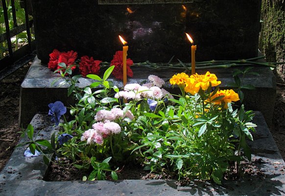 Народное голосование. ТОП-20 фотографий за 29.04.2025 г.