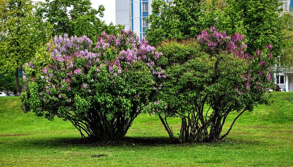 Народное голосование. ТОП-20 фотографий за 13.05.2025 г.