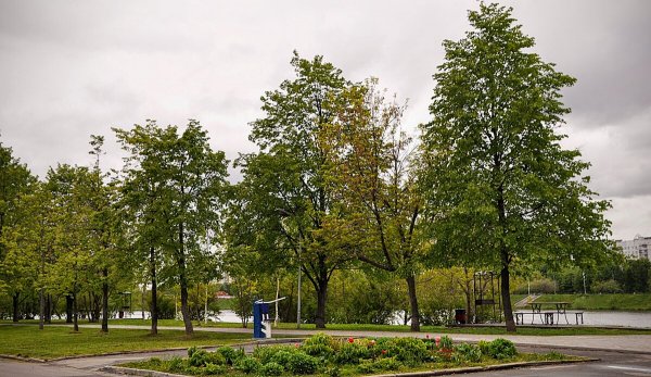 Народное голосование. ТОП-20 фотографий за 15.05.2025 г.