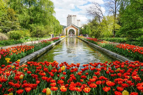 Народное голосование. ТОП-20 фотографий за 20.05.2025 г.