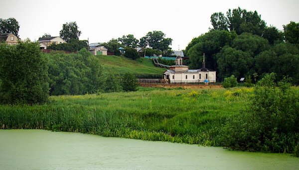 Народное голосование. ТОП-20 фотографий за 17.06.2025&nbsp;г.