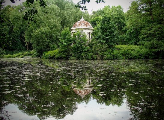 Народное голосование. ТОП-20 фотографий за 18.06.2025&nbsp;г.